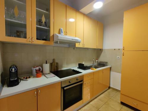 a kitchen with wooden cabinets and a sink at Djurdja apartment, free parking in Novi Sad