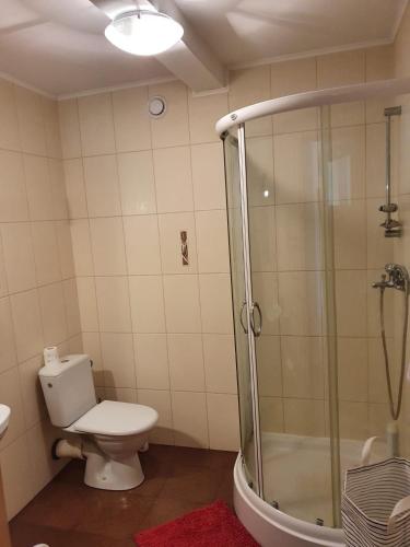 a bathroom with a toilet and a shower at Kaszuby Cottage in Sulęczyno