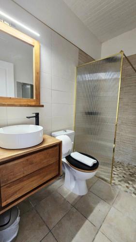 Hotel Le Manguierにあるバスルーム