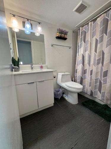 a bathroom with a toilet and a sink and a mirror at 3 STATE FAIR l DT Dallas l FIFA READY l Staycation 1Bd1Ba in Dallas