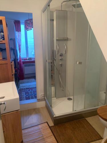 une salle de bain avec une douche avec une porte vitrée dans l'établissement Maison de village, à Belvès