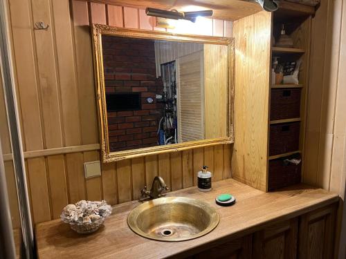 a bathroom with a sink with a mirror and a counter at Visockyne in Ariogala
