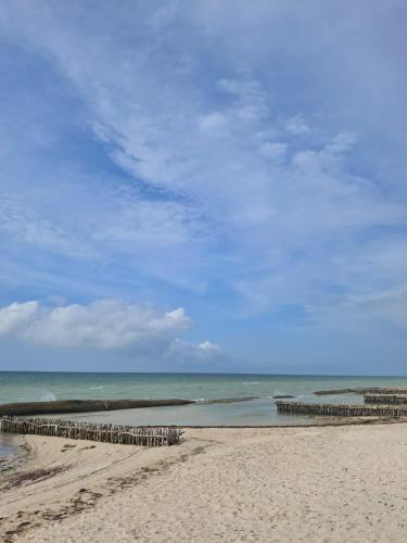 a sandy beach with a view of the ocean at Driftwood Retreat in Progreso