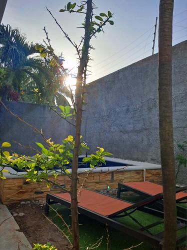 a bunch of trampas in a yard with a tree at Driftwood Retreat in Progreso