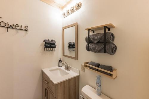 a bathroom with a sink and a mirror at Bungalow, Lake Glenville, Amazing Views, & Sauna! in Cullowhee