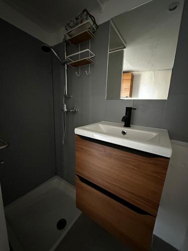 Duplex proche Arènes في نيم: حمام مزود بحوض ومِرآة