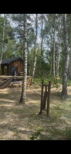 a wooden bench in front of a house in the woods at WieloHome in Wielogóra