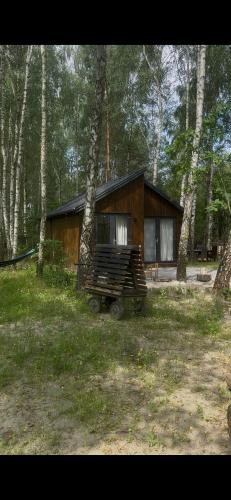 a cabin in the middle of a forest at WieloHome in Wielogóra