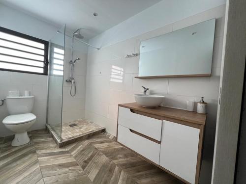 a bathroom with a toilet and a sink and a shower at Kaz a Nyla - Face à la plage de Terre Sainte in Saint-Pierre