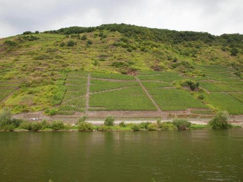 a hill with crops on it next to a river at Jünkerath Romantic Garden Stay in Jünkerath