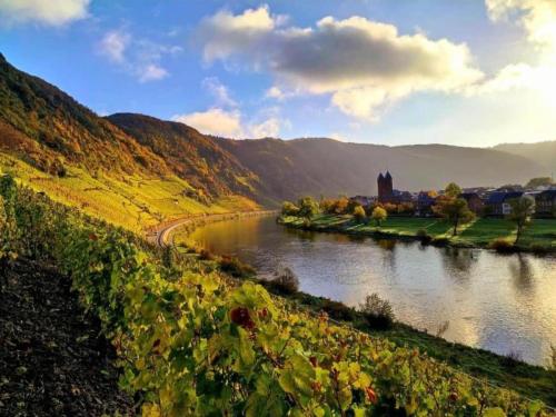 a river in a valley with a castle in the distance at Jünkerath Romantic Garden Stay in Jünkerath