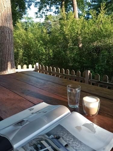 Φωτογραφία από το άλμπουμ του Tiny cabin in bosrijke omgeving de Veluwe - met terras, tuin en fietsschuurtje σε Nunspeet