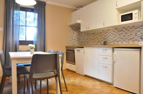 Dapur atau dapur kecil di Apartma Julija Hiška 59
