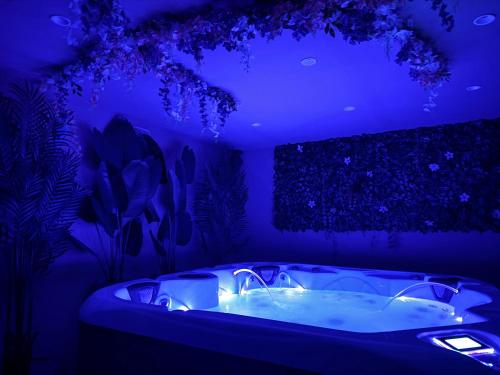 a blue bathroom with a tub in a room with plants at Domaine Le Rocher d Argent avec Piscine Extérieur ,Jacuzzi Intérieur et Salle de jeux in Berre-les Alpes