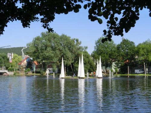 a group of small sailboats on a lake at Freistehendes Haus mit Ofen, Terrasse und Garten in Stadlern