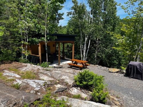 a cabin with a picnic table in the woods at Chalet au pic du bois in Saint-Calixte