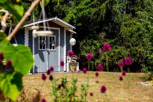 a small house with pink flowers in front of it at Ferienwohnung 70qm - Natur, Fitness & SUP am Fluss in Damm