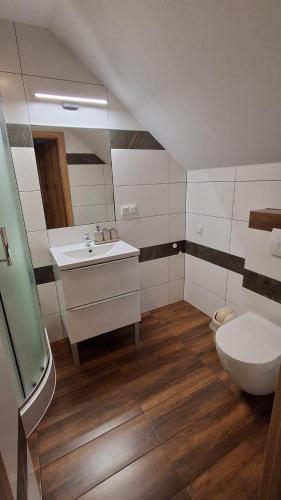 a bathroom with a sink and a toilet at Sosnowy Zakątek Piwniczna in Piwniczna