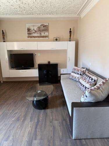 Central apartments Pleven