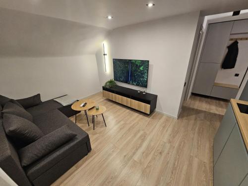 a living room with a couch and a flat screen tv at Zvaigžņu apartment in Riga