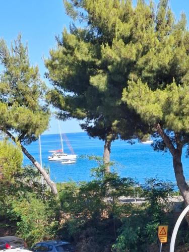 Gallery image of Casa di Lalla in San Lorenzo al Mare