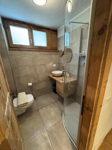 a bathroom with a shower and a toilet and a sink at Cervino House in Breuil-Cervinia