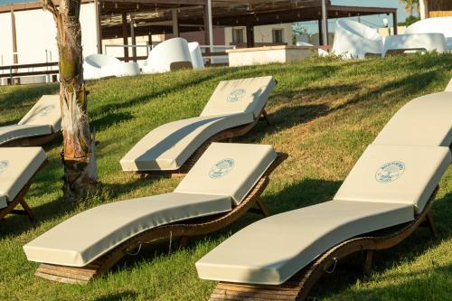 a row of chaise lounges on the grass at Boomerang Village in Torre Colimena