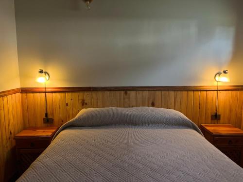 a bedroom with a bed with two lights on it at Cabañas Parque Del Lago in Panguipulli