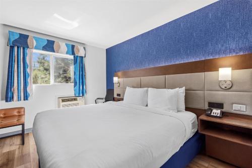 a bedroom with a large bed and a blue wall at SureStay Plus Hotel by Best Western Mammoth Lakes in Mammoth Lakes