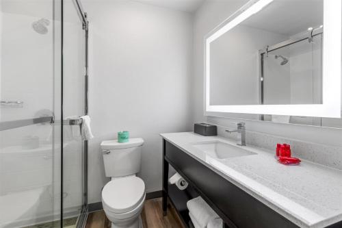 a bathroom with a toilet and a sink and a mirror at SureStay Plus Hotel by Best Western Mammoth Lakes in Mammoth Lakes