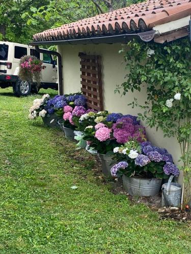 Un jardín fuera de L'Ape