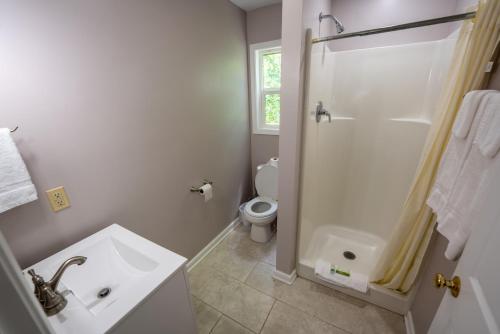 a white bathroom with a sink and a toilet at Fishtale Lodge Cabins in Buchanan
