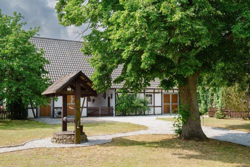 a park with a bench next to a tree at Dom49 