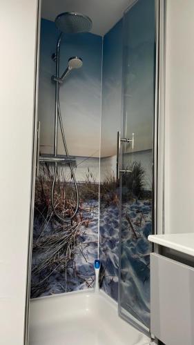 a shower in a bathroom with a view of the beach at Ferienwohnung Rosenholz in Butjadingen