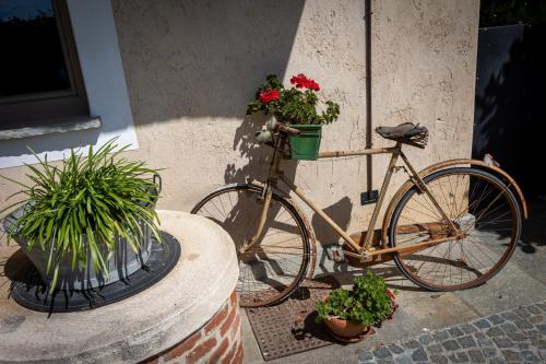 Jazda na bicykli v okolí ubytovania Casa Maddalena