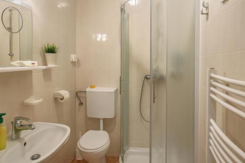 a bathroom with a shower and a toilet and a sink at Hiša Vanda in Dobrovo