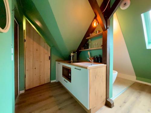 an attic kitchen with green walls and a sink at Cabane urbaine in Sarreguemines