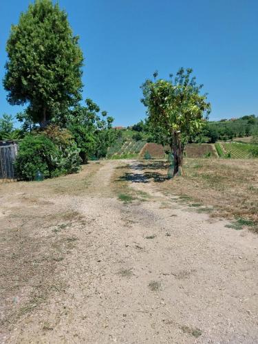 a dirt road with trees on the side of a field at Alloggio Casale Stella in Casalbordino