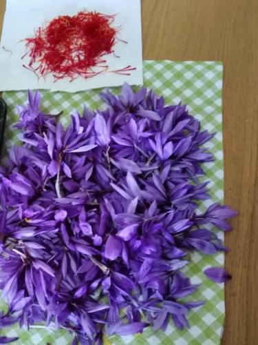a pile of purple flowers sitting on a table at Alloggio Casale Stella in Casalbordino