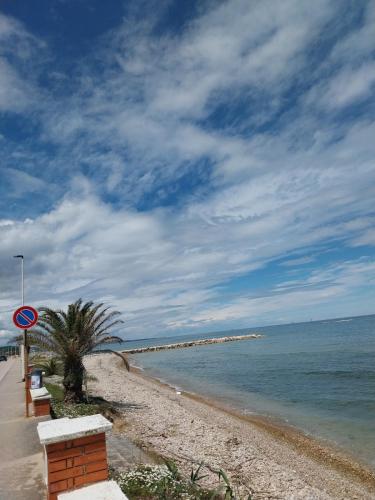a beach with a palm tree next to the water at Alloggio Casale Stella in Casalbordino