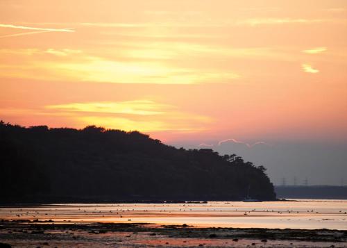 a group of birds on the beach at sunset at Woodside Coastal Retreat in Ryde