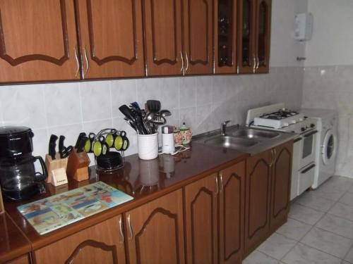 a kitchen counter with a sink and a stove at Bed and Breakfast John and Lena in Tatʼev