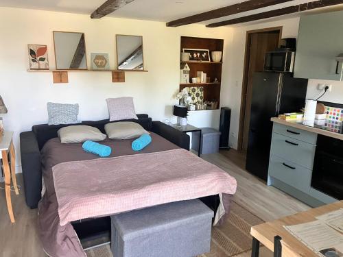 une petite chambre avec un lit et une cuisine dans l'établissement Sous le Tilleul Le Studio avec jacuzzi, à Bellegarde-sur-Valserine