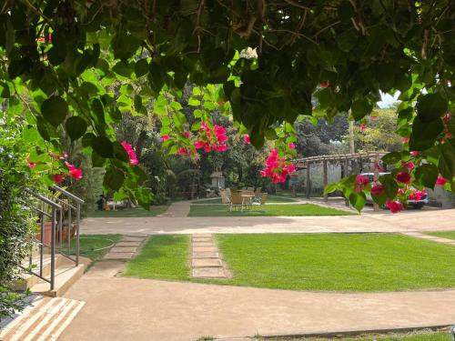 Taman di luar Suíte Rio de Ondas 1