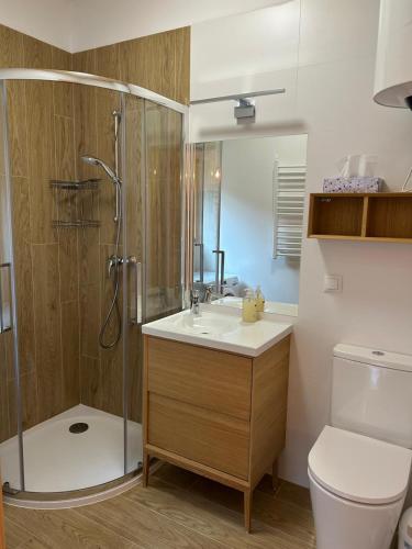 a bathroom with a shower and a sink and a toilet at Dadajówka Domki przy plaży in Wilimy