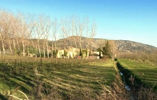 un champ avec des arbres et une maison en arrière-plan dans l'établissement Maison Avec Piscine, à Malaucène