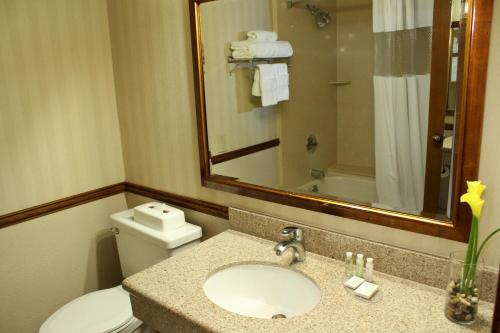 a bathroom with a toilet and a sink with a mirror at University Square Hotel in Fresno