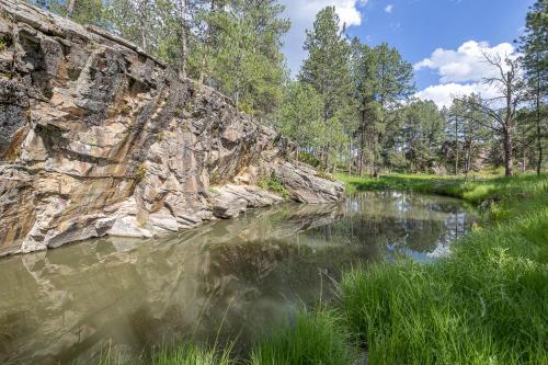 a river next to a rock wall and trees at Custer Gem in Custer