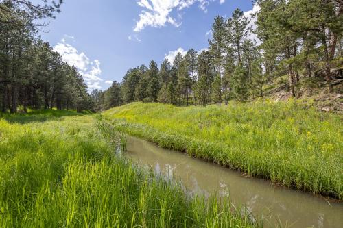 a river in a field with tall grass and trees at Custer Gem in Custer