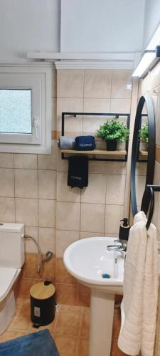 a bathroom with a sink and a toilet and a mirror at Theo Luxury Apartment in Nea Peramos